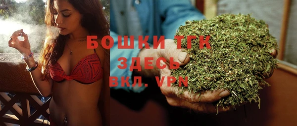 тгк Рославль