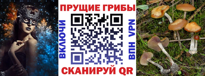 Галлюциногенные грибы прущие грибы  Кадников 